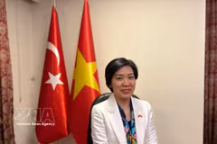 越南驻土耳其大使邓氏秋霞。图自与通社