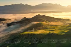 义路云雾缭绕——自然与人文交响曲。图自越南画报