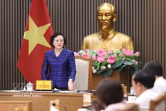 政府副总理范氏清茶主持会议。图自越通社