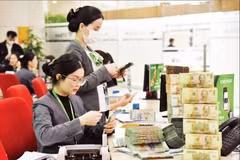 商业银行是目前最大的资金来源，约占绿色信贷总余额的88%。图自越通社