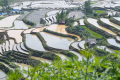 莱州省梯田进入灌水季节，美不胜收。图自越通社