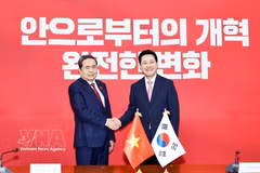 越南国会主席陈青敏会见韩国国民力量党党首张东赫。图自越通社