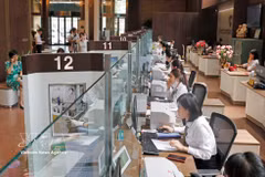 没有任何一个发达经济体的大部分中长期资金主要依赖商业银行。图自越通社