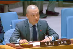 越南常驻联合国代表团副代表阮黄元公使。图自越通社
