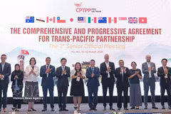 与会代表合影。图自越通社