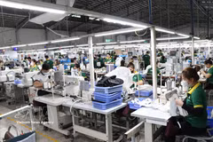 前7个月，新成立注册企业数量达12.59万多家，注册资本总额达近1518.9万亿越盾，反映出经济复苏态势。图自越通社