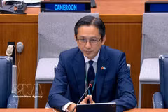 越南常驻联合国代表团团长杜雄越大使在会上发言。图自越通社