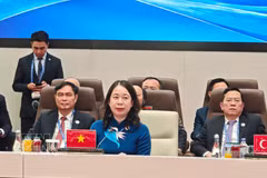 越南国家副主席武氏映春出席上海合作组织扩大会议。图自越通社