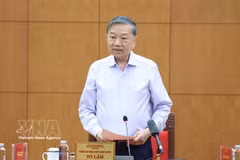 越共中央总书记、国家主席、指导委员会主任苏林主持会议。图自越通社