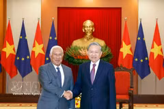 越共中央总书记、国家主席苏林会见欧洲理事会主席安东尼奥·科斯塔（2026年1月）。图自越通社