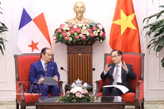 越南外交部部长黎怀忠与巴拿马外交部部长哈维尔·爱德华多·马丁内斯-阿查·巴斯克斯举行工作会谈。