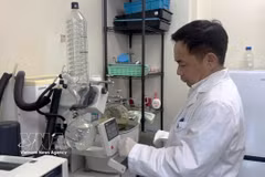 广岛大学 IDEC 研究院农业与生物技术专业陈登春教授。图自越通社