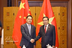 越南国会主席陈青敏（右）与中国人民对外友好协会会长杨万明。图自越通社