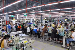 纺织—服装—鞋皮业力争将工业生产由加工、组装转向附加值更高的环节，提高科技含量与竞争力。图自越通社