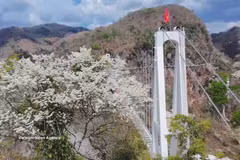 将木州打造成为西北地区富有魅力目的地。图自越通社
