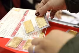 附图 图自Vietnam+