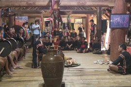 埃地族成年祭祀仪式的独特魅力 