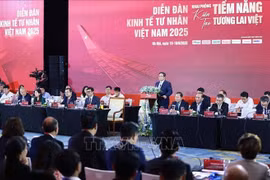 越南政府总理范明政在2025年越南民营经济论坛高级对话会上发表讲话。图自越通社
