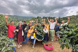 溪生咖啡：红土地孕育独特的阿拉比卡独特风味