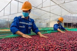 越南新订单数量反弹回升。图自越通社