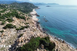  探索宁顺主山国家公园的海岸石园