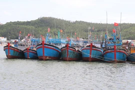 渔船到港口避风。图自越通社