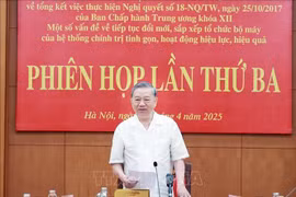 越共中央总书记、指导委员会主任苏林主持会议。图自越通社