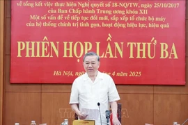 越共中央总书记、指导委员会主任苏林主持会议。图自越通社