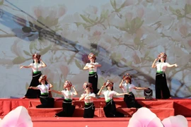傣族群舞艺术表演节目。图自越通社
