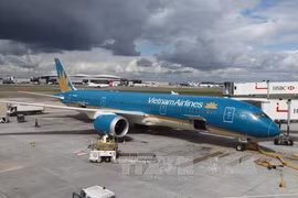 受第3号台风影响越南各家航空公司取消了许多航班。图自越通社