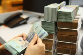 前10个月财政收入同比增长30.8%。图自越通社