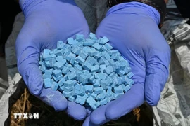 印尼当局查获的毒品。图自AFP