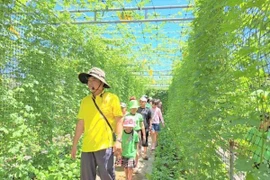 体验生物学教育农场模型——唤起学生对科学的热爱