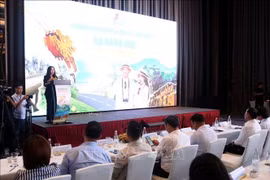 8月15日，岘港市文化、体育与旅游局联合举办促销活动，吸引游客在2025年下半年前往韩江沿岸城市。图自越通社