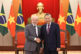 苏林总书记会见巴西总统路易斯·伊纳西奥·卢拉·达席尔瓦。图自越通社