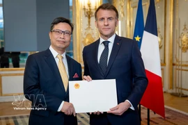 越南驻法国大使向法国总统递交国书。图自越通社