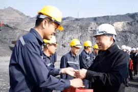 越共中央总书记苏林、政府总理范明政赴广宁省开展走基层活动