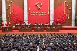 朝鲜劳动党第八届中央委员会第十一次全体会议。图自越通社