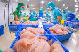 查鱼加工链。图自Vietnam+