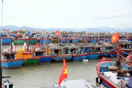 第5号台风“剑鱼”逼近 越南中部多地全面备战