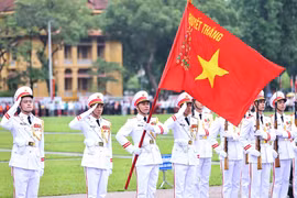 纪念胡志明主席诞辰135周年特别升旗仪式在巴亭广场举行