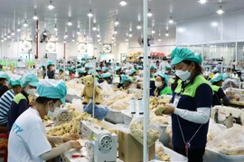 庆和省游隆工业园区一公司生产厂。图自越通社