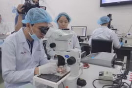 越南第57号决议：驱动国家腾飞的战略引擎