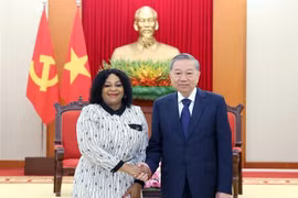 苏林会见南非非洲人国民大会第一副总书记莫科尼亚内。图自越通社