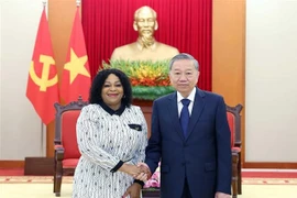 苏林会见南非非洲人国民大会第一副总书记莫科尼亚内。图自越通社
