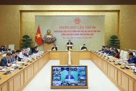 越南努力解除 EC “黄牌”警告 推动渔业可持续发展