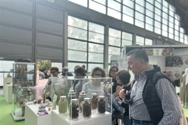 国际友人参观越南展位。图自越通社