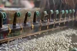 保护与发展宁平古质村传统缫丝手工艺品牌