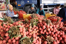 个体户正在对出口荔枝进行分类和包装。图自 越通社