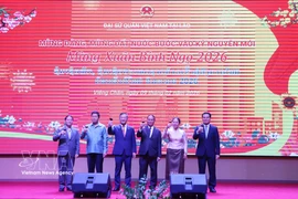 越南驻老挝大使与老挝党和国家领导共同举杯，庆祝农历丙午马年新春。图自越通社